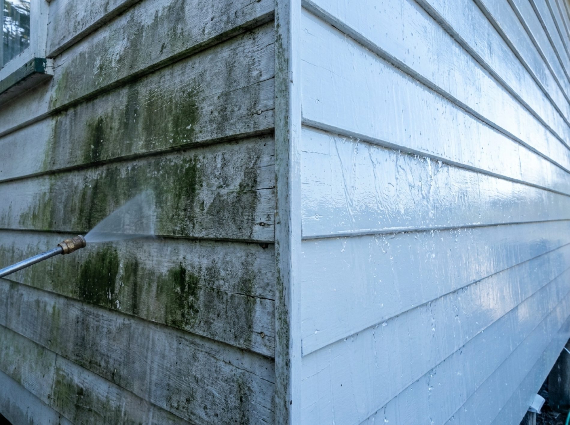 A weatherboard wall being washed, green mould lifting away