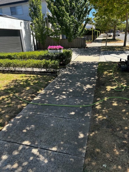A concrete footpath beside a clipped hedge, photographed before pressure washing