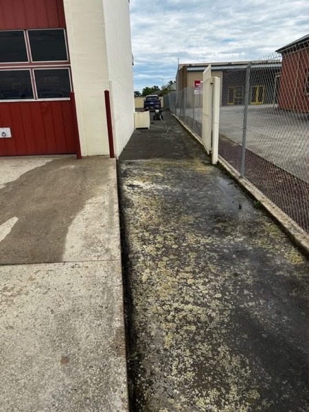 A concrete path beside a commercial building, photographed before pressure washing