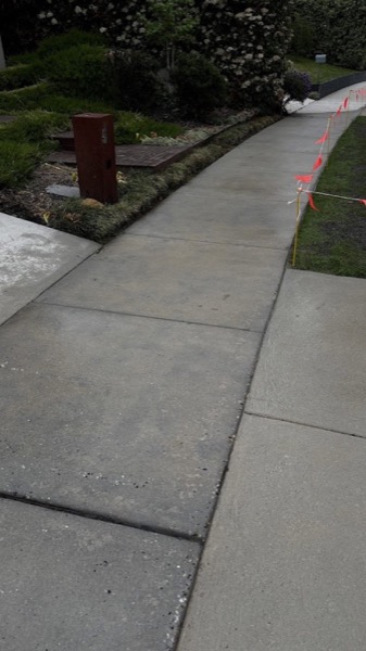 A concrete path running alongside a planted garden bed